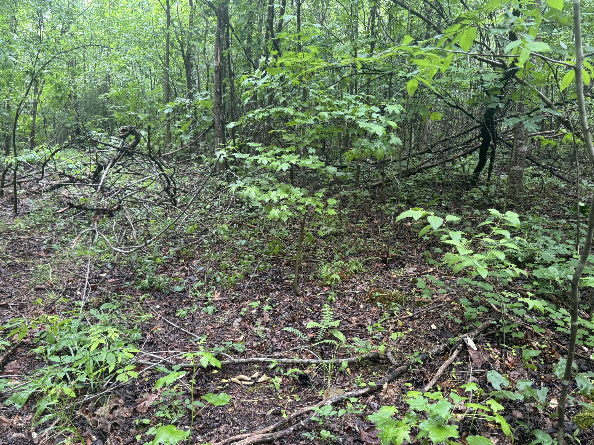 0 Highway 283 Property Photo 8