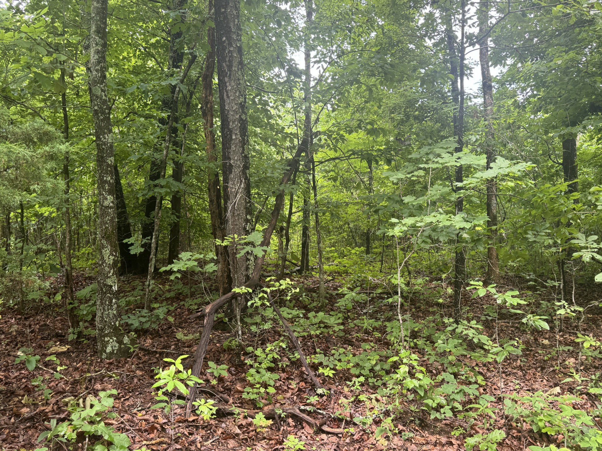 0 Highway 283 Property Photo 10