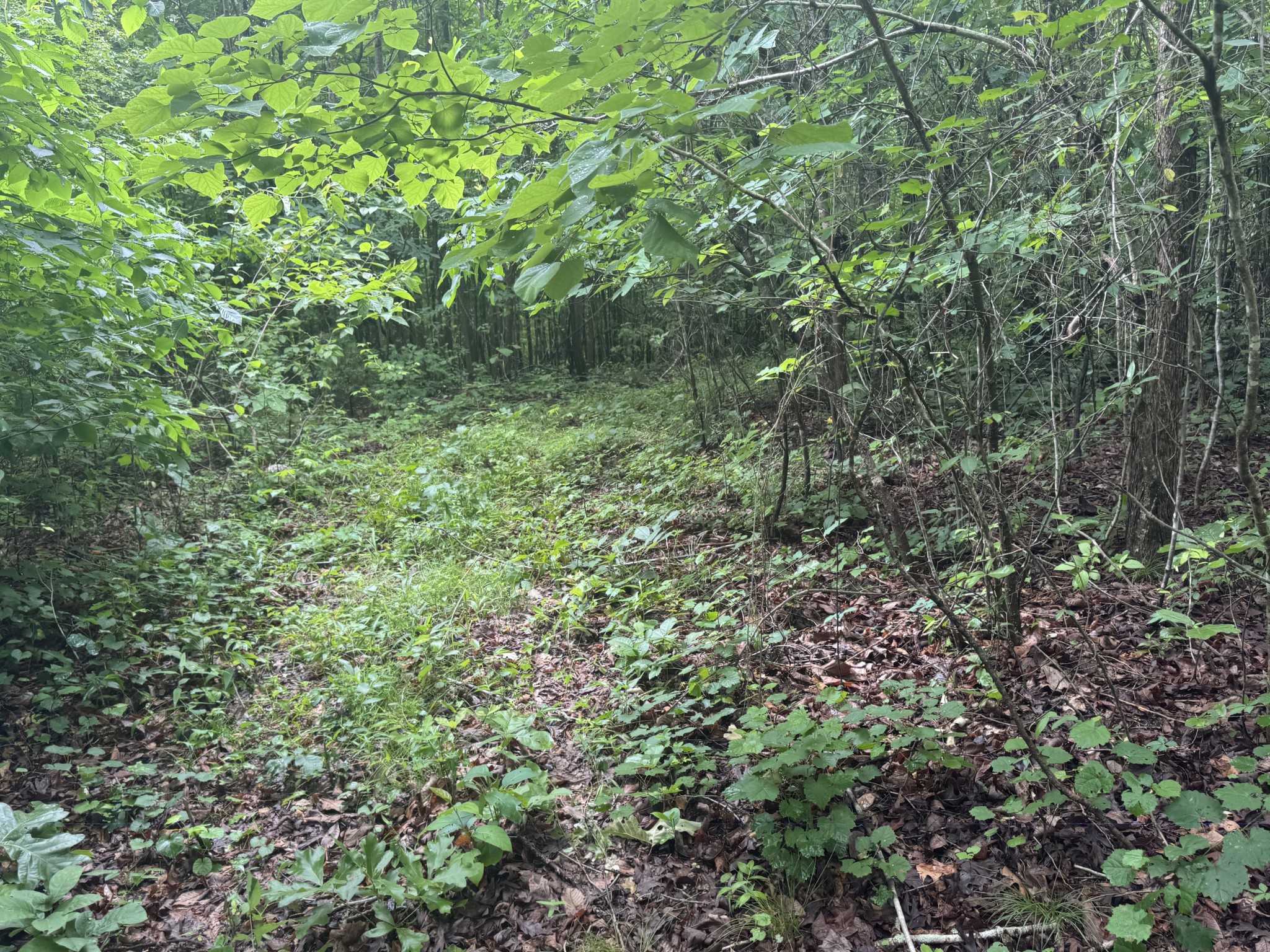 0 Highway 283 Property Photo 11