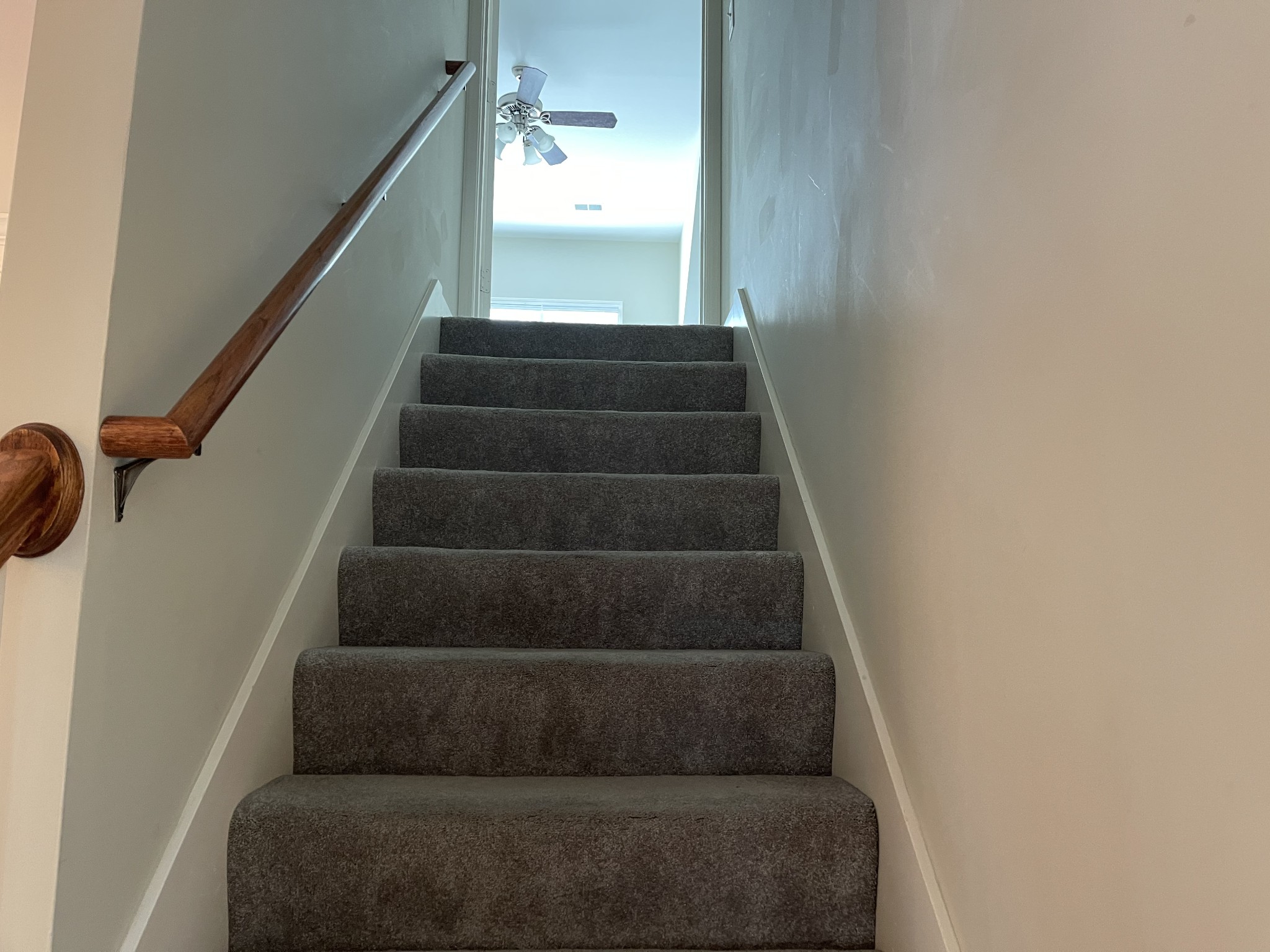 215 Stoners Glen Ct Property Photo 18