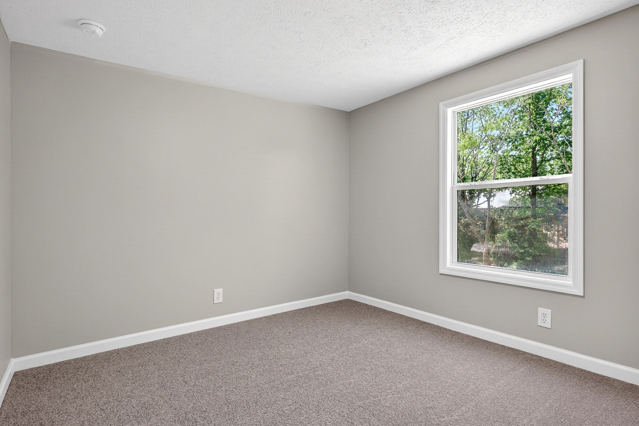 8380 Chaffin Rd Property Photo 14