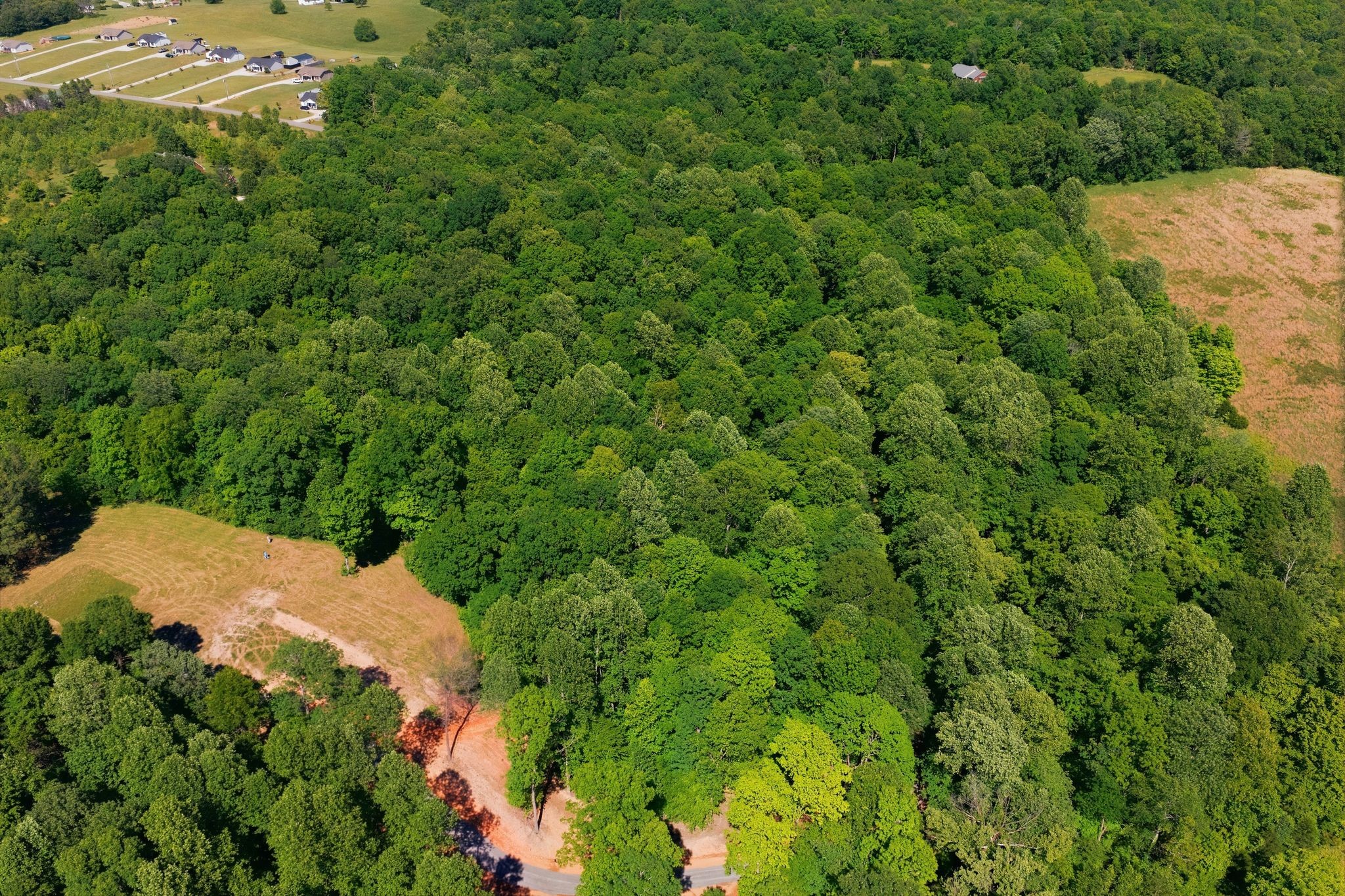 0 Maple Grove Rd Property Photo 10
