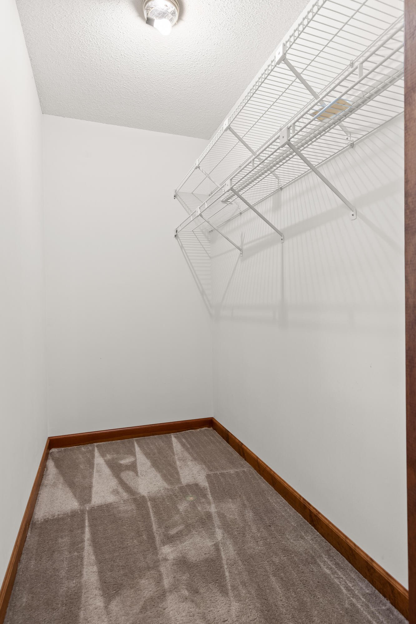2401 Igou Ferry Road Property Photo 63