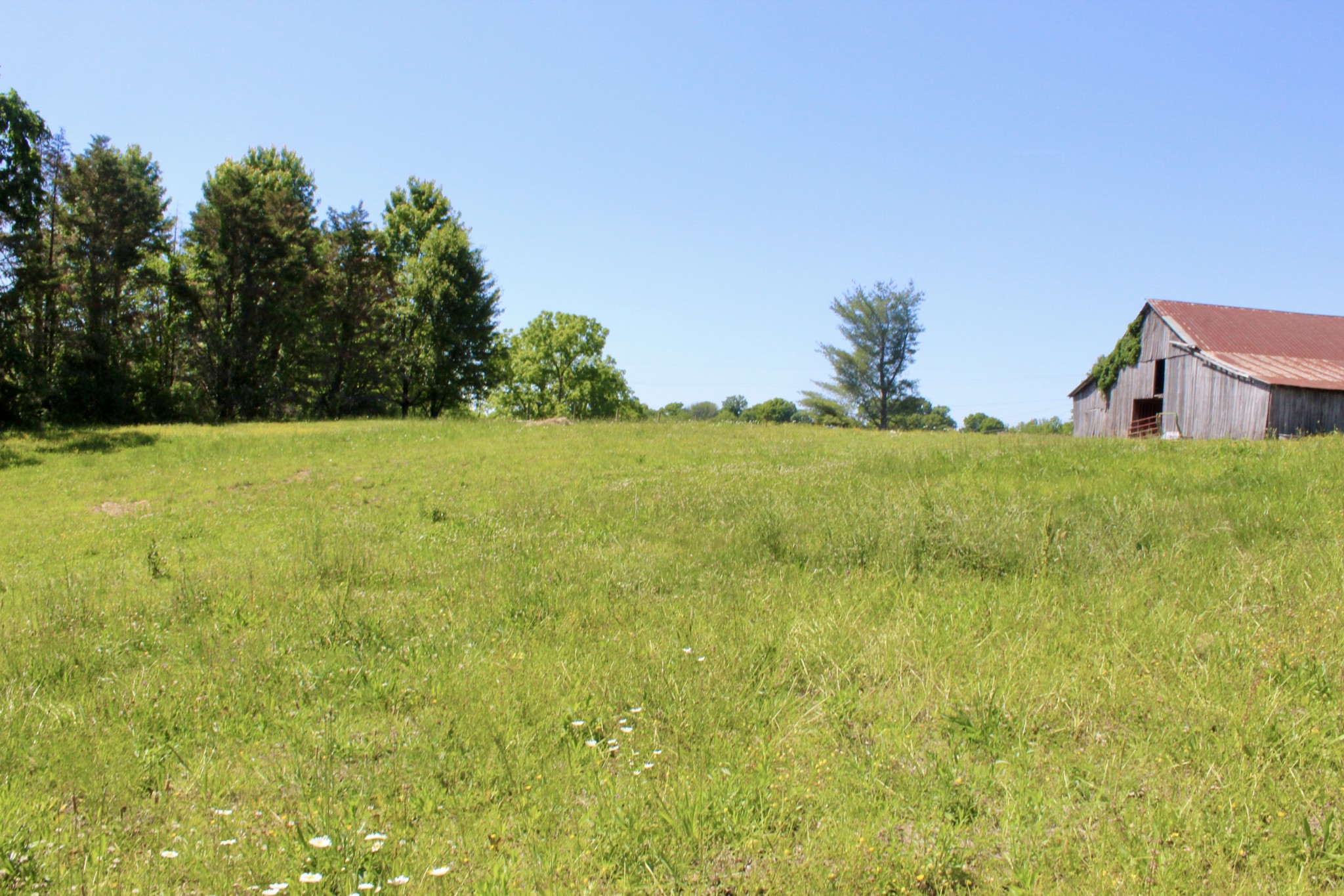 0 Hall Rd Property Photo 1