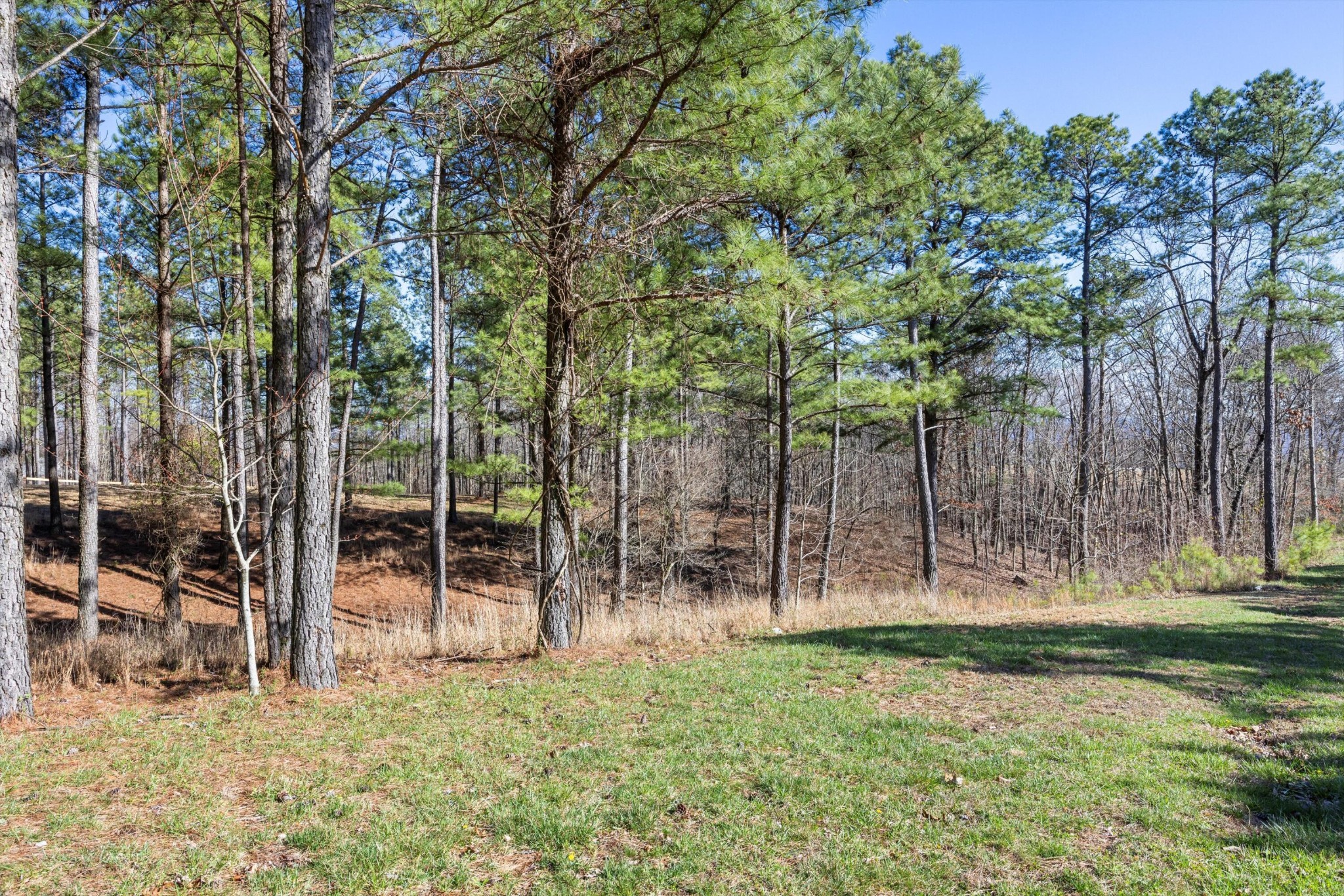 0 Prospectors Way Property Photo 5