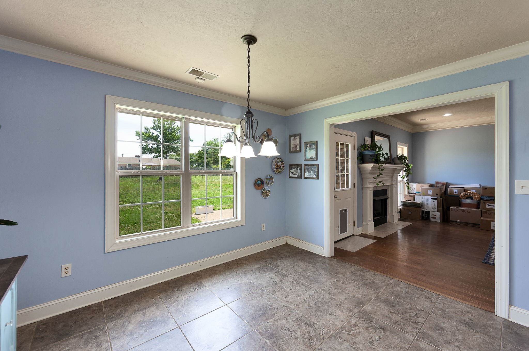 100 Mary Kate Ln Property Photo 12