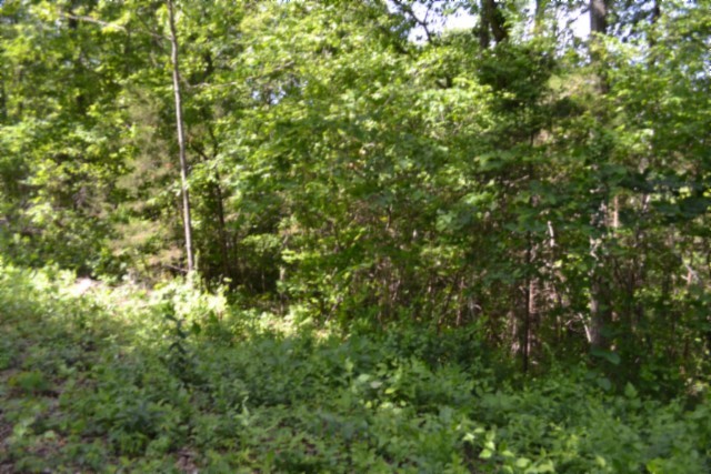 0 Beauchamp Rd Property Photo 6