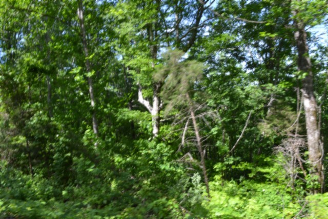 0 Beauchamp Rd Property Photo 11