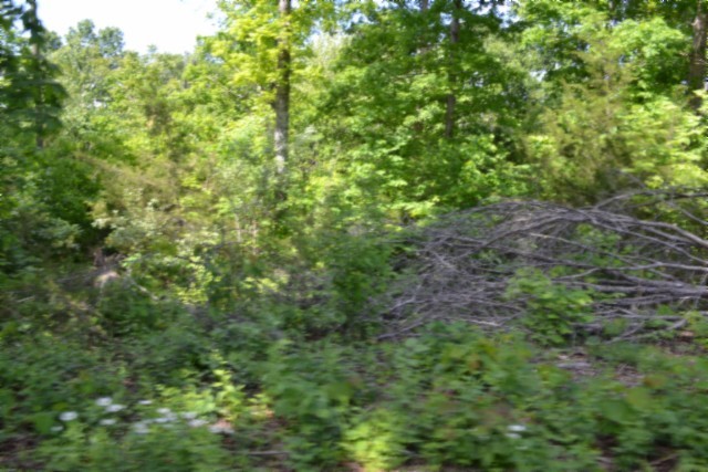 0 Beauchamp Rd Property Photo 13