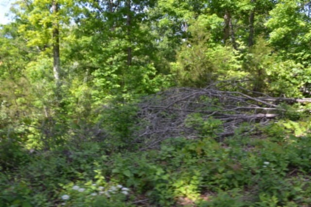 0 Beauchamp Rd Property Photo 14
