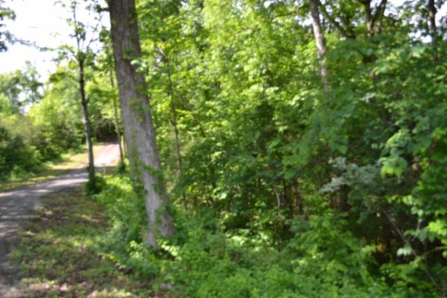 0 Beauchamp Rd Property Photo 27