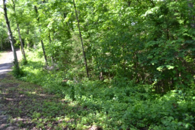 0 Beauchamp Rd Property Photo 28