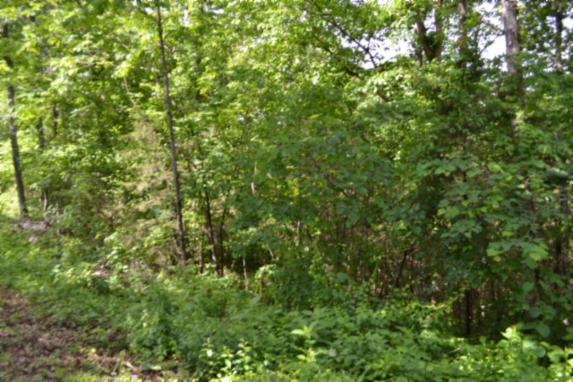 0 Beauchamp Rd Property Photo 30