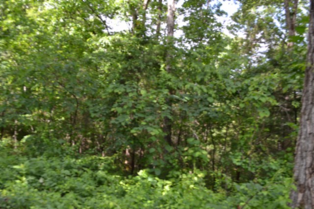 0 Beauchamp Rd Property Photo 31