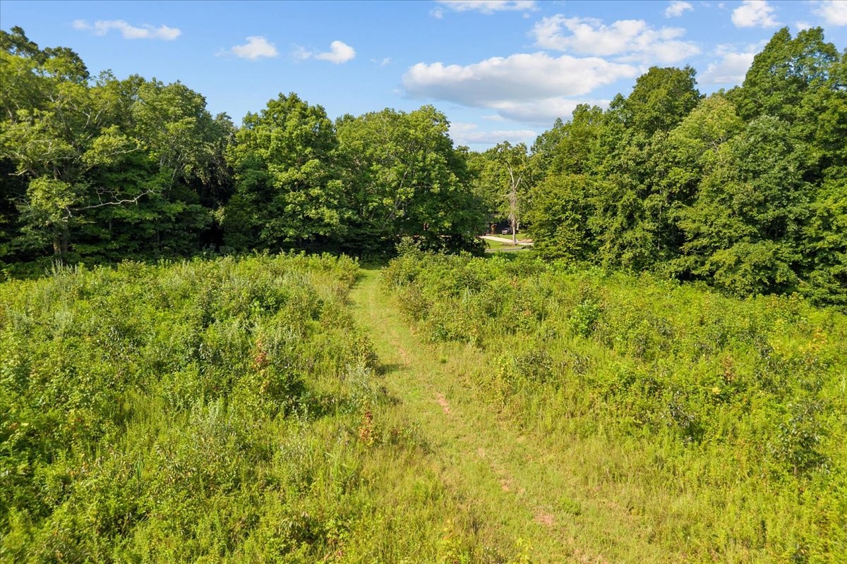0 Kizer Ridge Road Property Photo 4