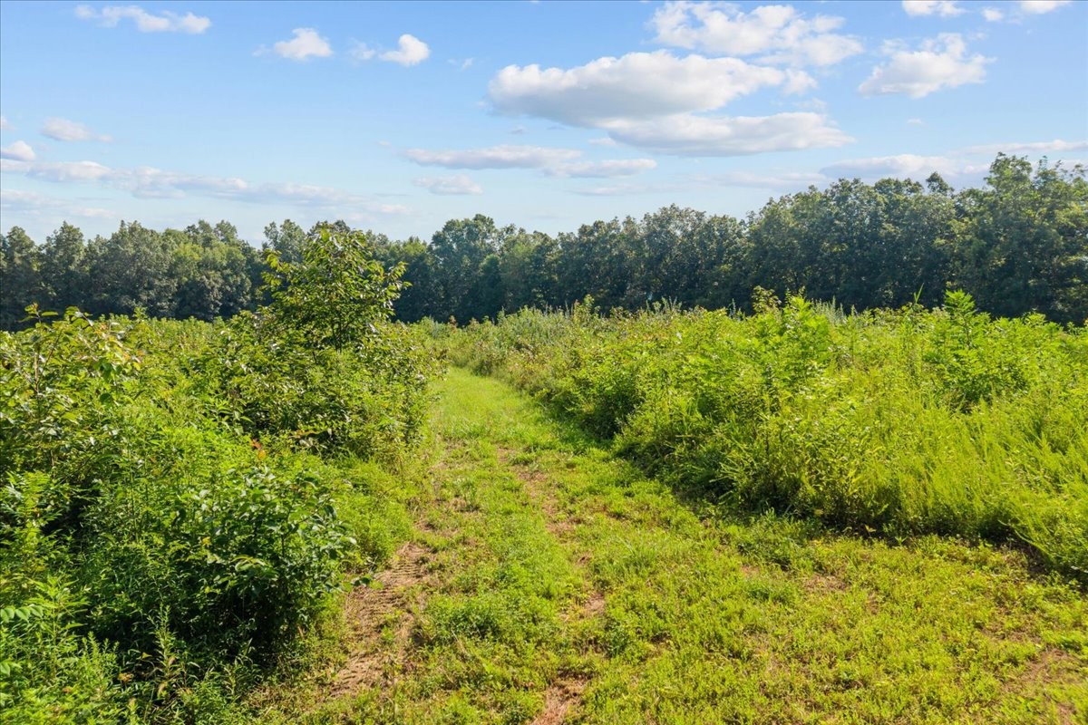 0 Kizer Ridge Road Property Photo 5