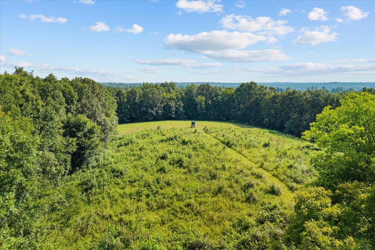 0 Kizer Ridge Road Property Photo 6