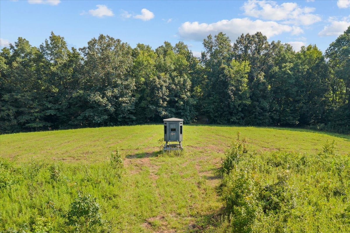 0 Kizer Ridge Road Property Photo 7