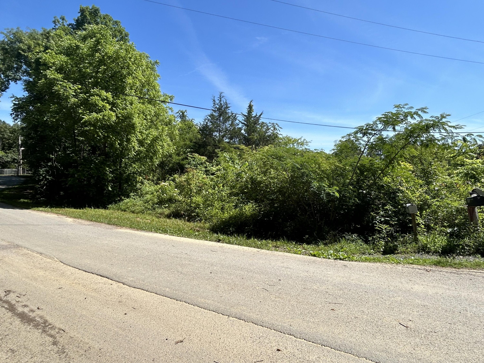 0 Dr Johnson Road Property Photo 1