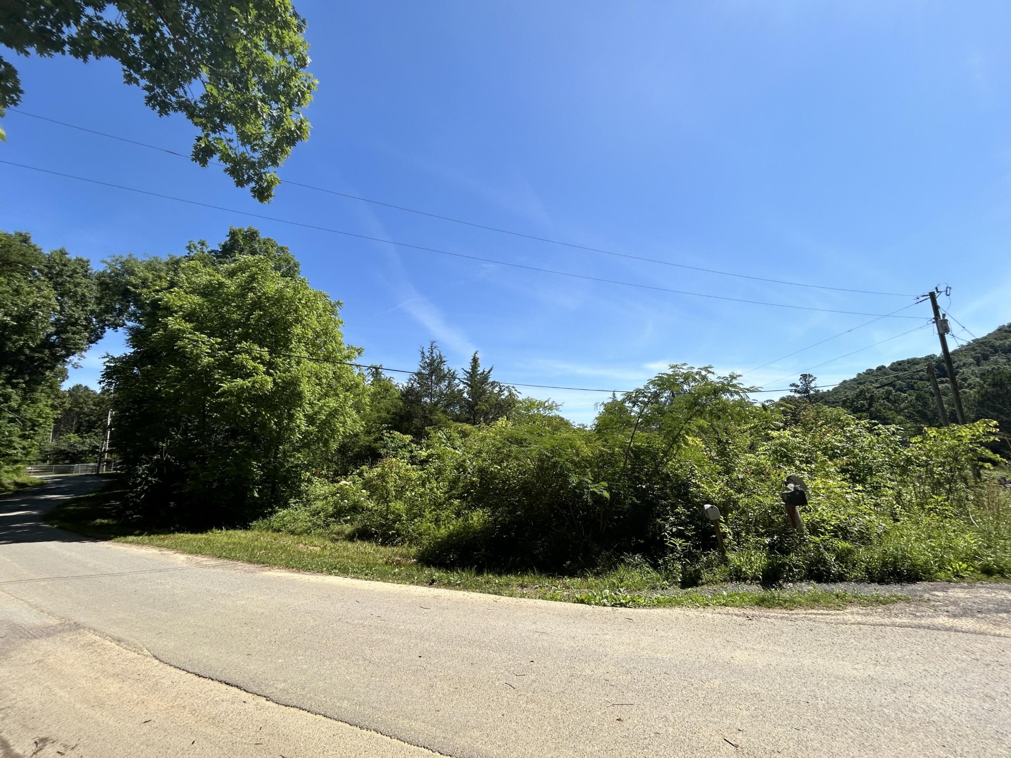 0 Dr Johnson Road Property Photo 2