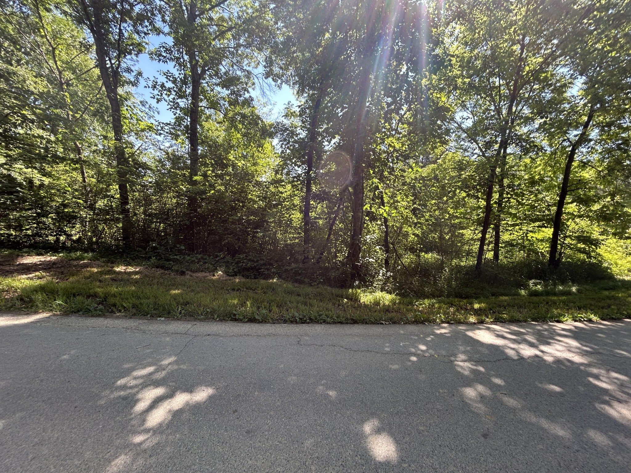 0 Dr Johnson Road Property Photo 3