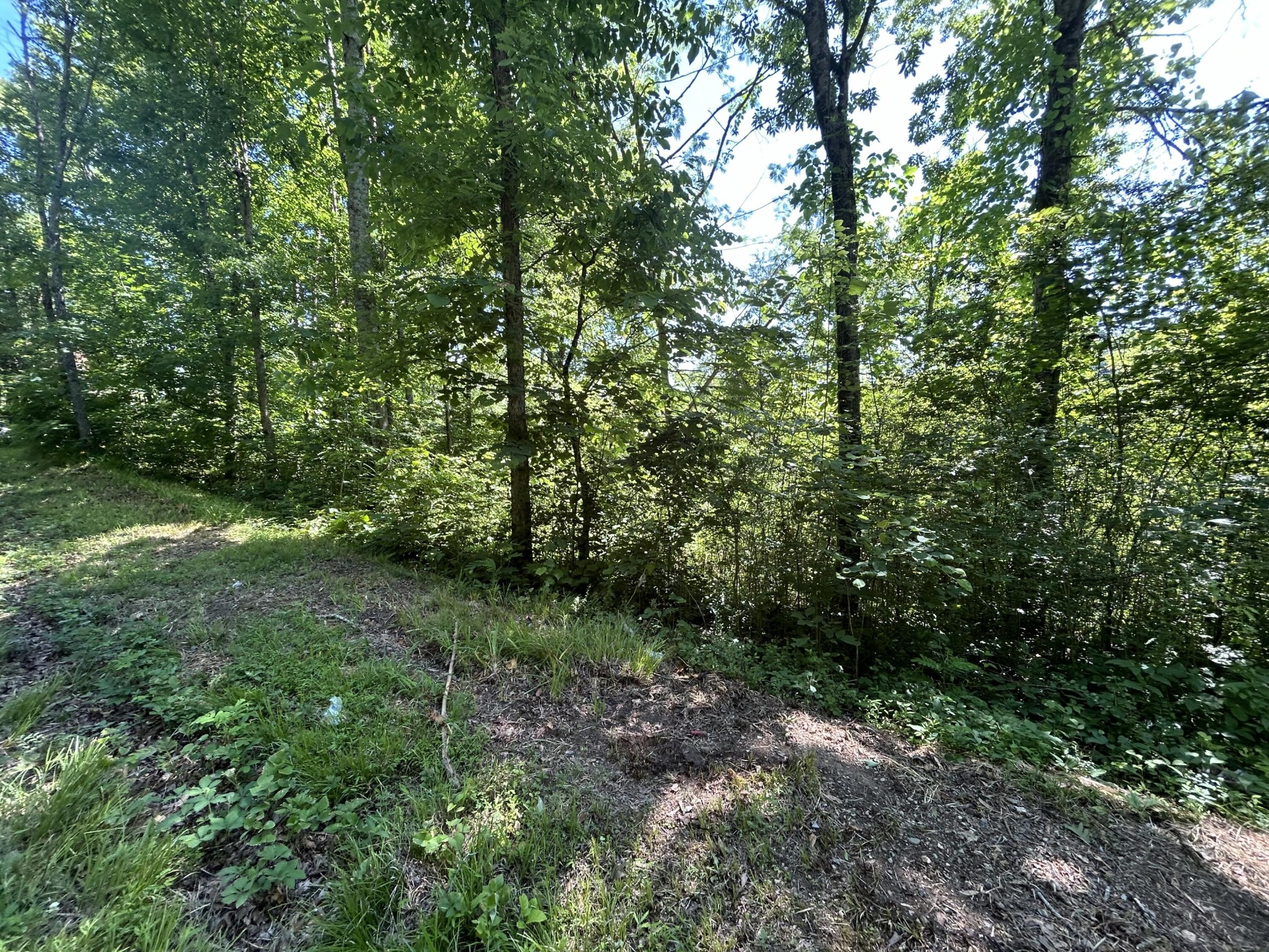 0 Dr Johnson Road Property Photo 5