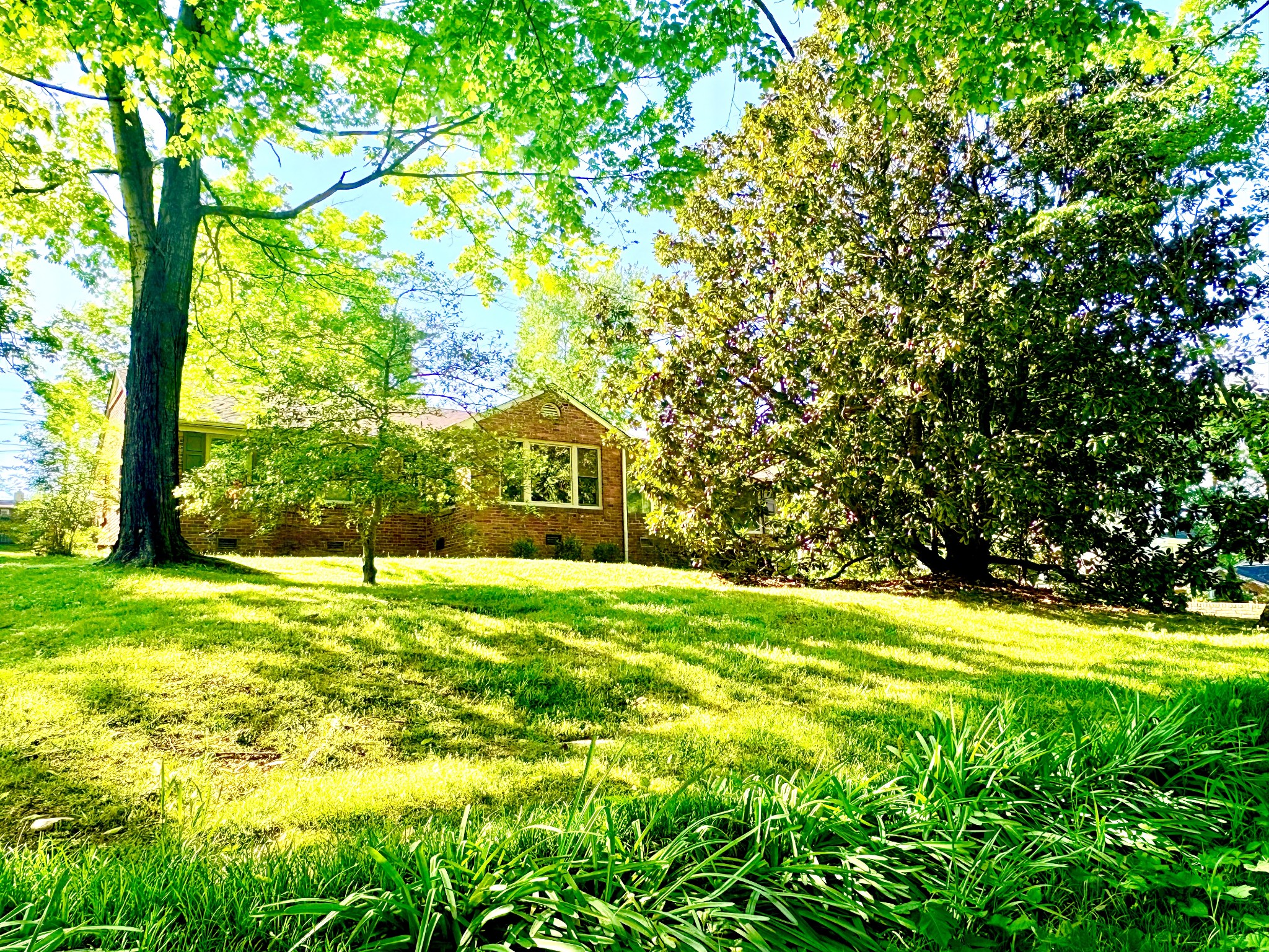 208 Trahern Ln Property Photo 1