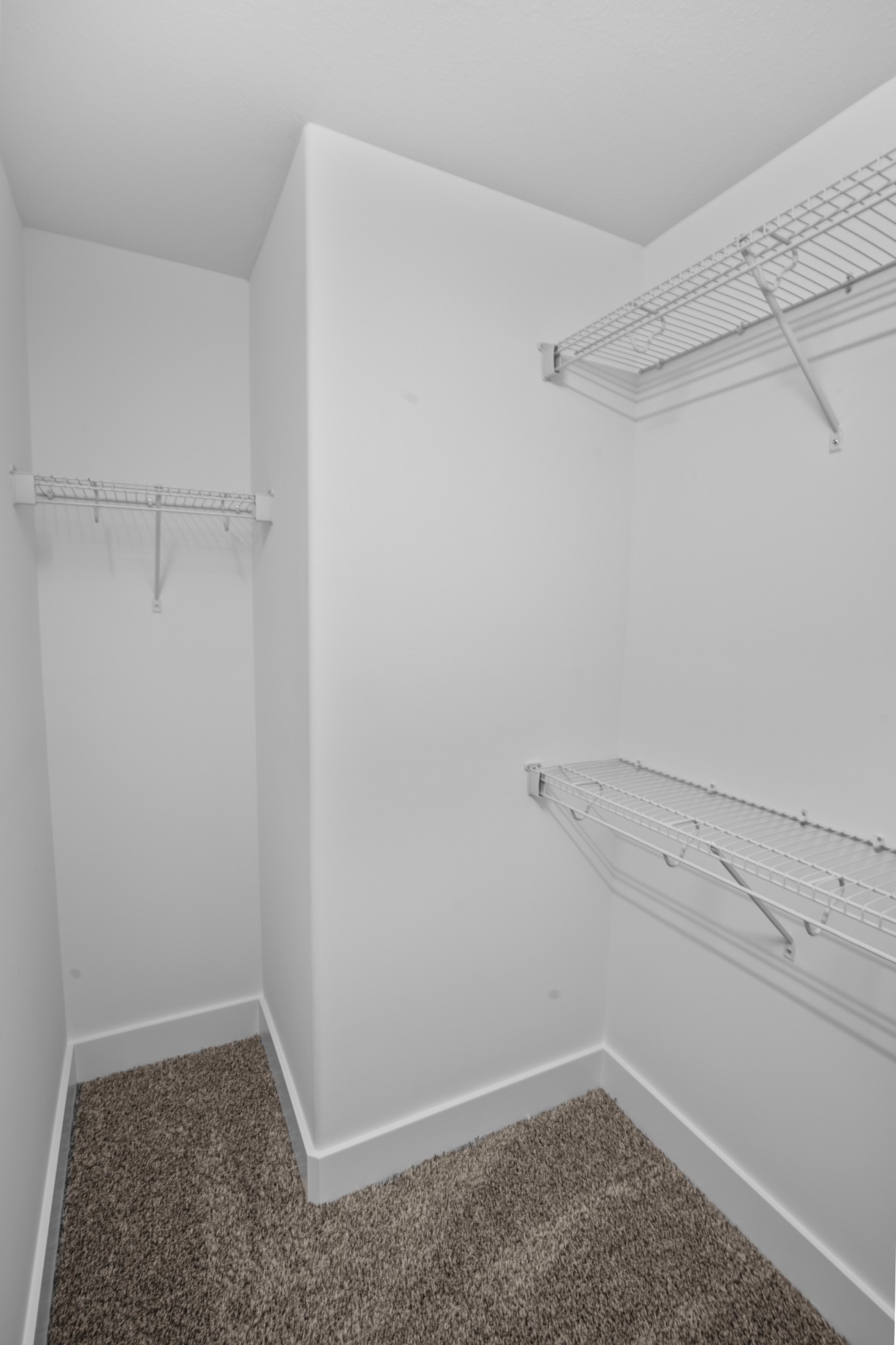 244 Bluebell Dr Property Photo 37