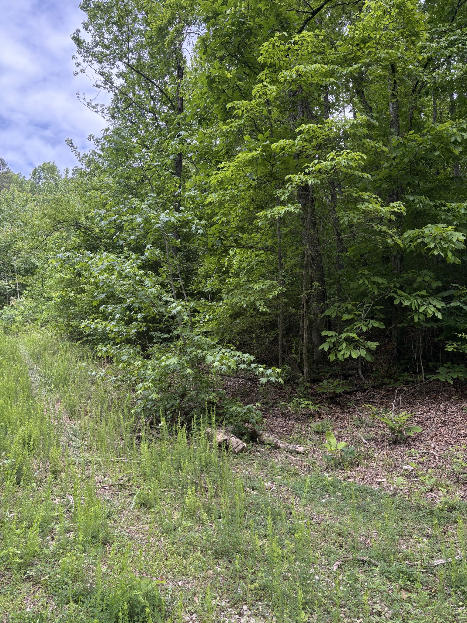 225 Hollow Road Property Photo 1