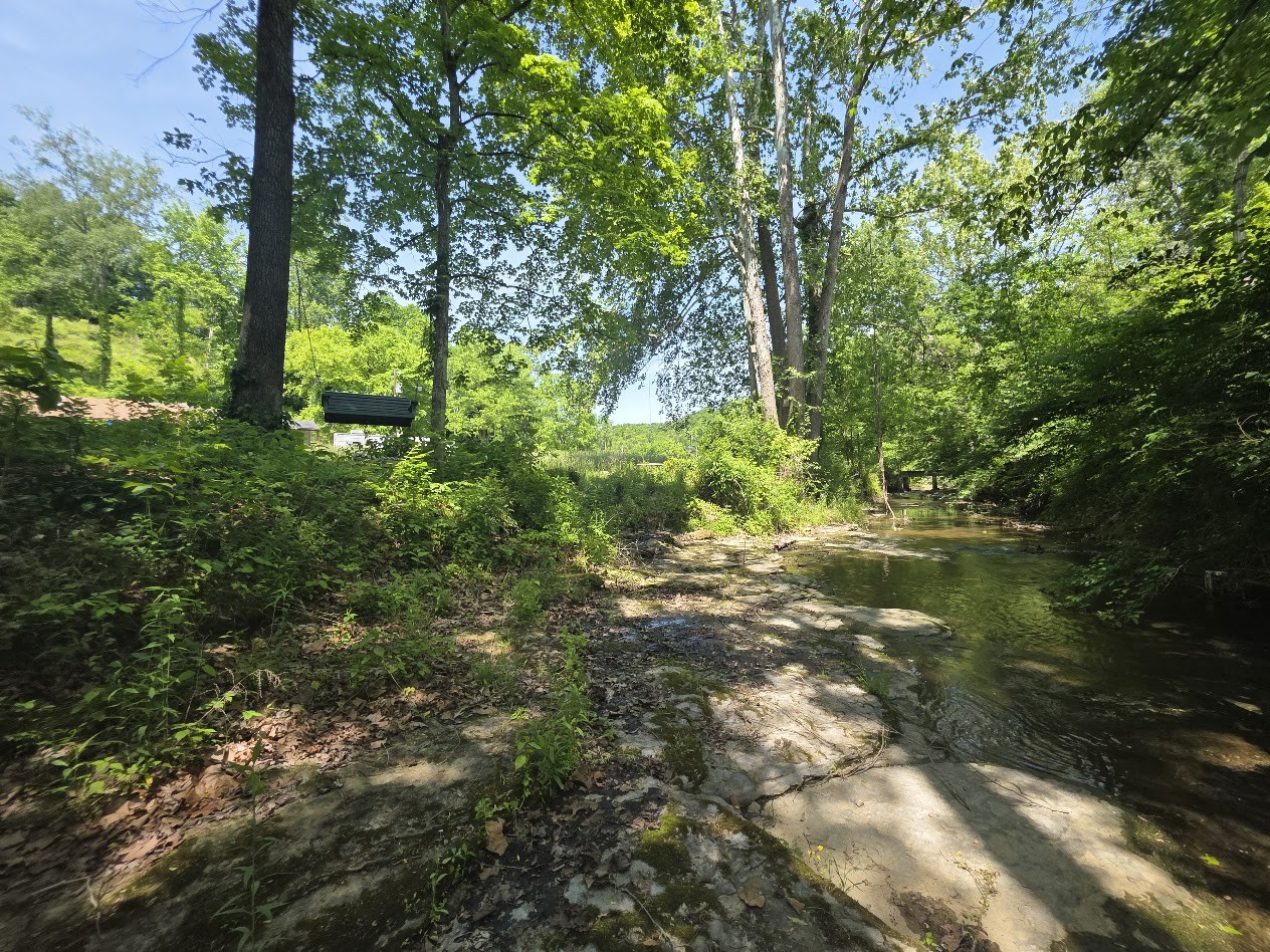 1310 Carney Winters Rd Property Photo 4