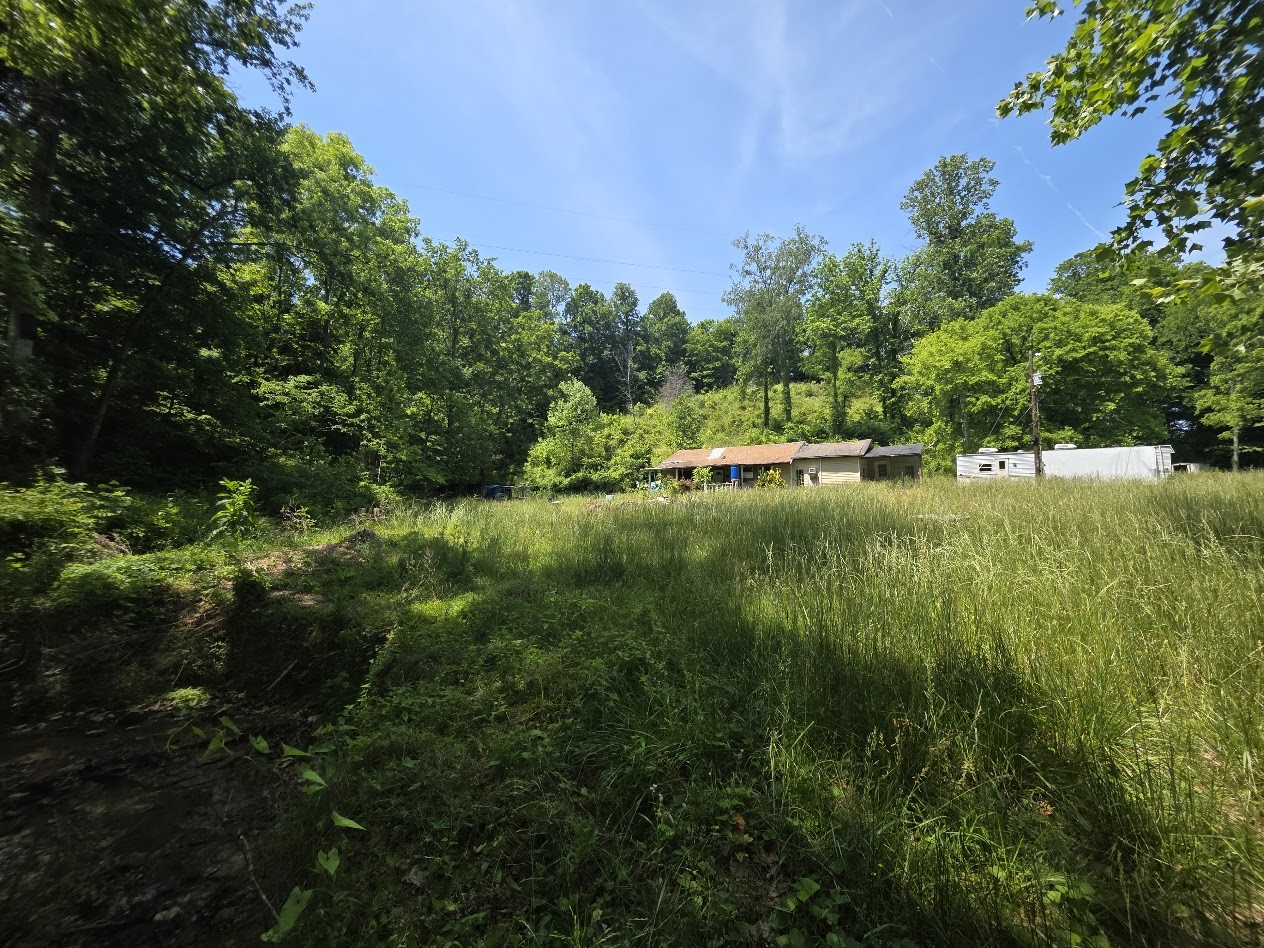 1310 Carney Winters Rd Property Photo 6