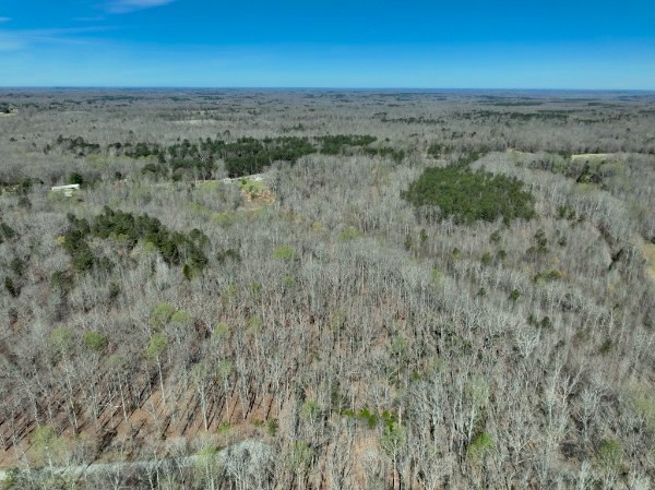 255 War Eagle Drive Property Photo 5
