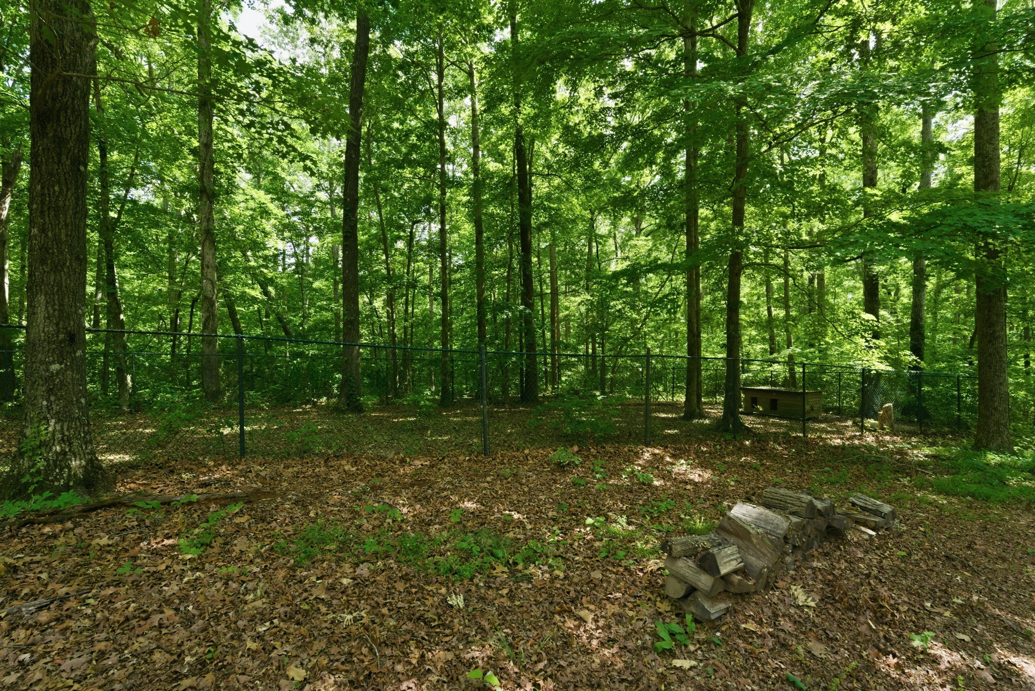 957 Ford Rd Property Photo 50
