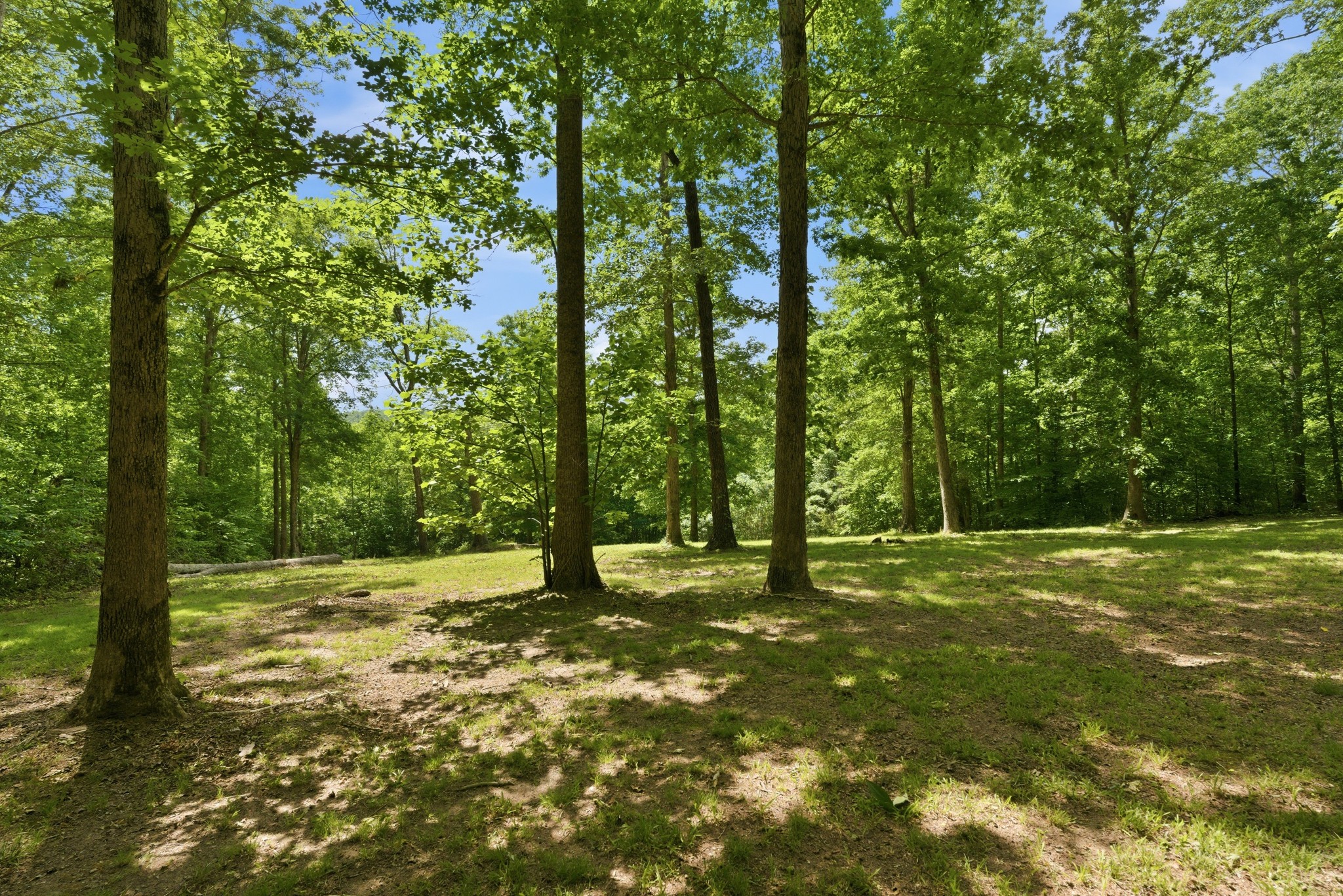957 Ford Rd Property Photo 51