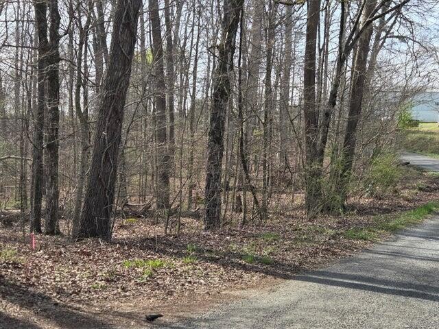 3 Lowery Road Property Photo 1
