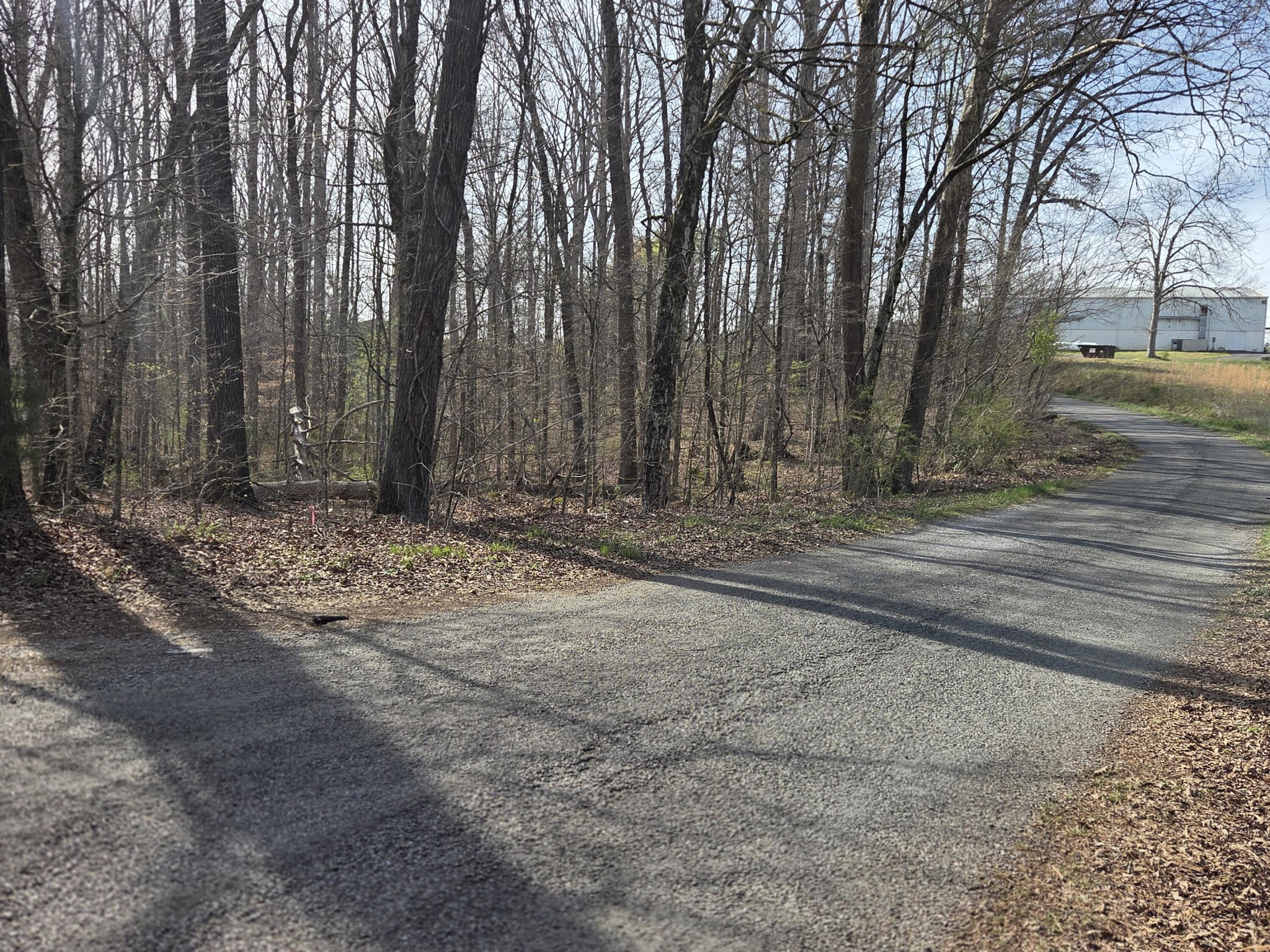 3 Lowery Road Property Photo 2