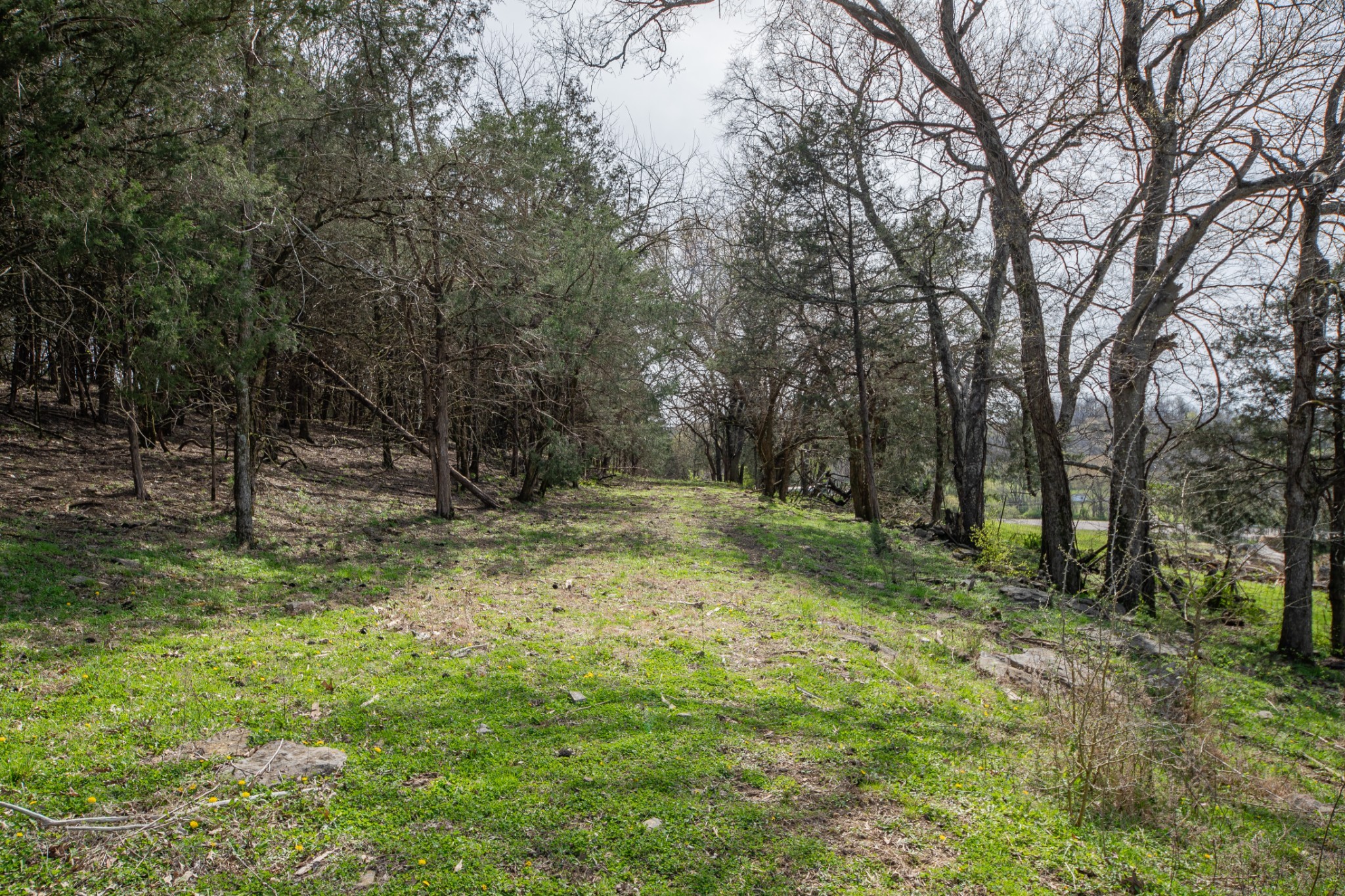 1839 Polly Adams Rd Property Photo 33