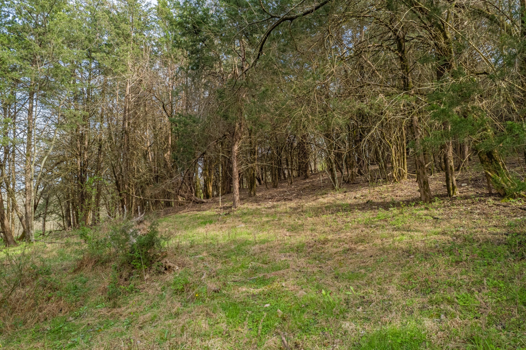 1839 Polly Adams Rd Property Photo 51