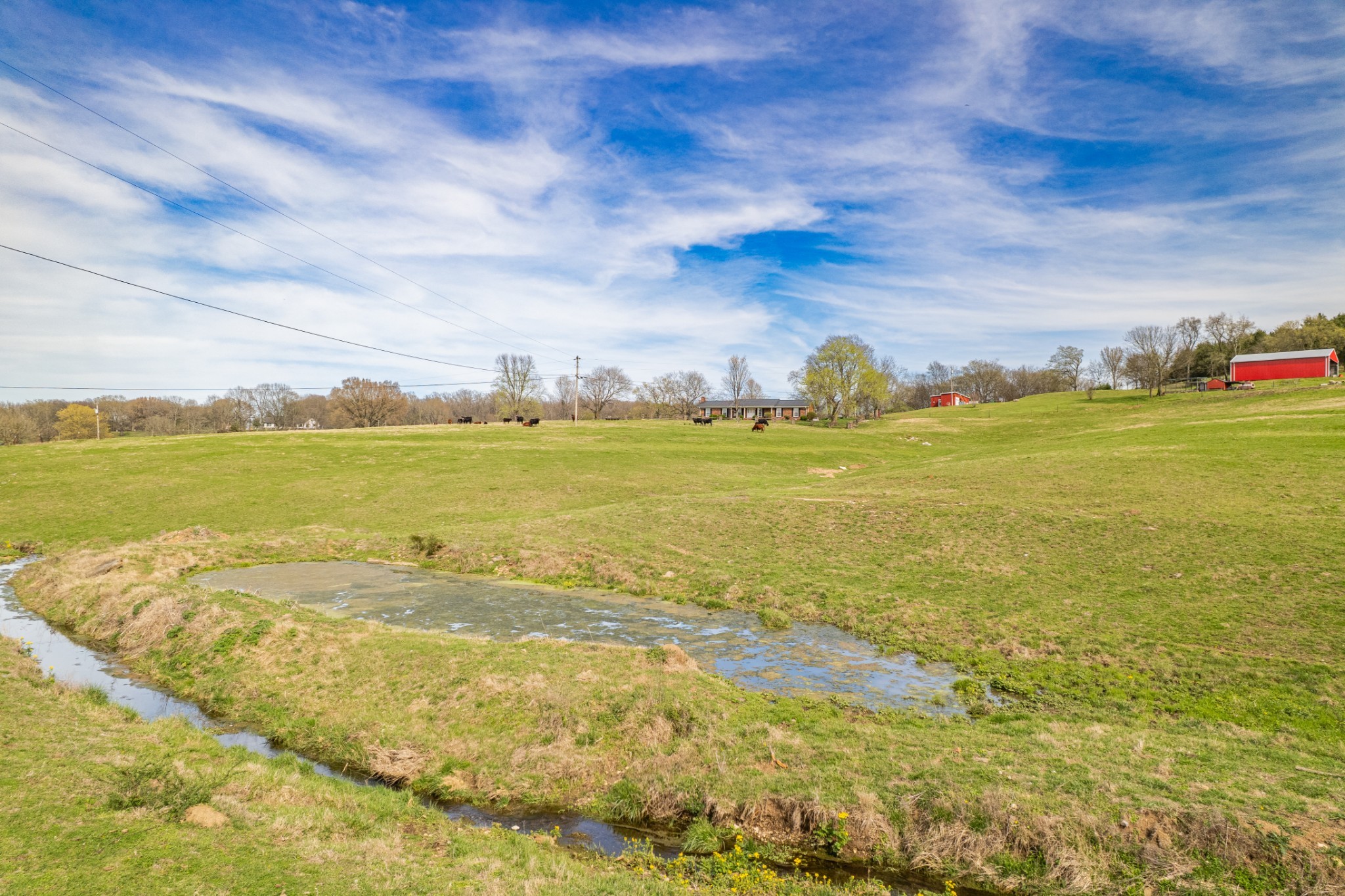 1839 Polly Adams Rd Property Photo 65