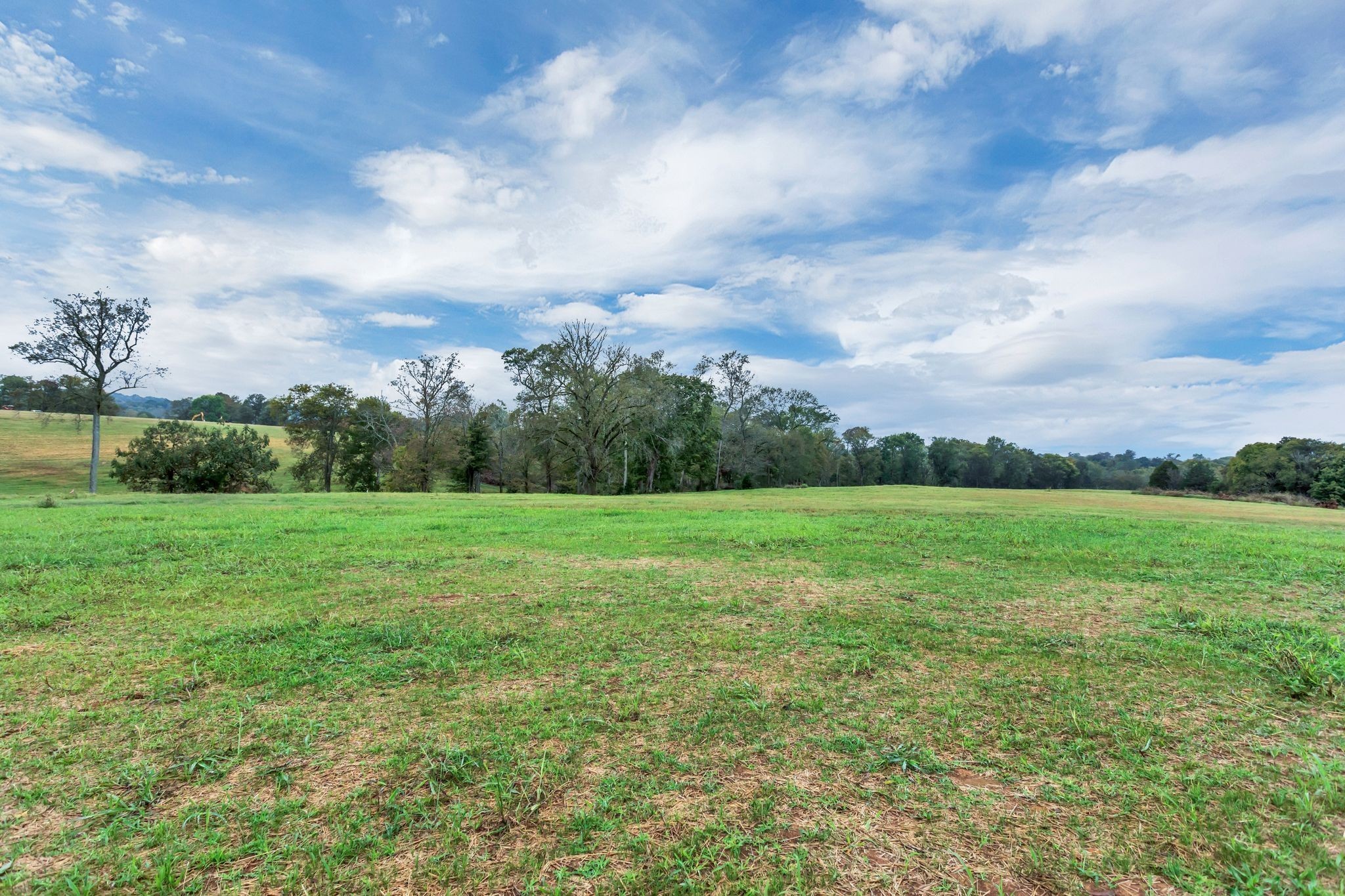 1629 John Sharp Rd Property Photo 3