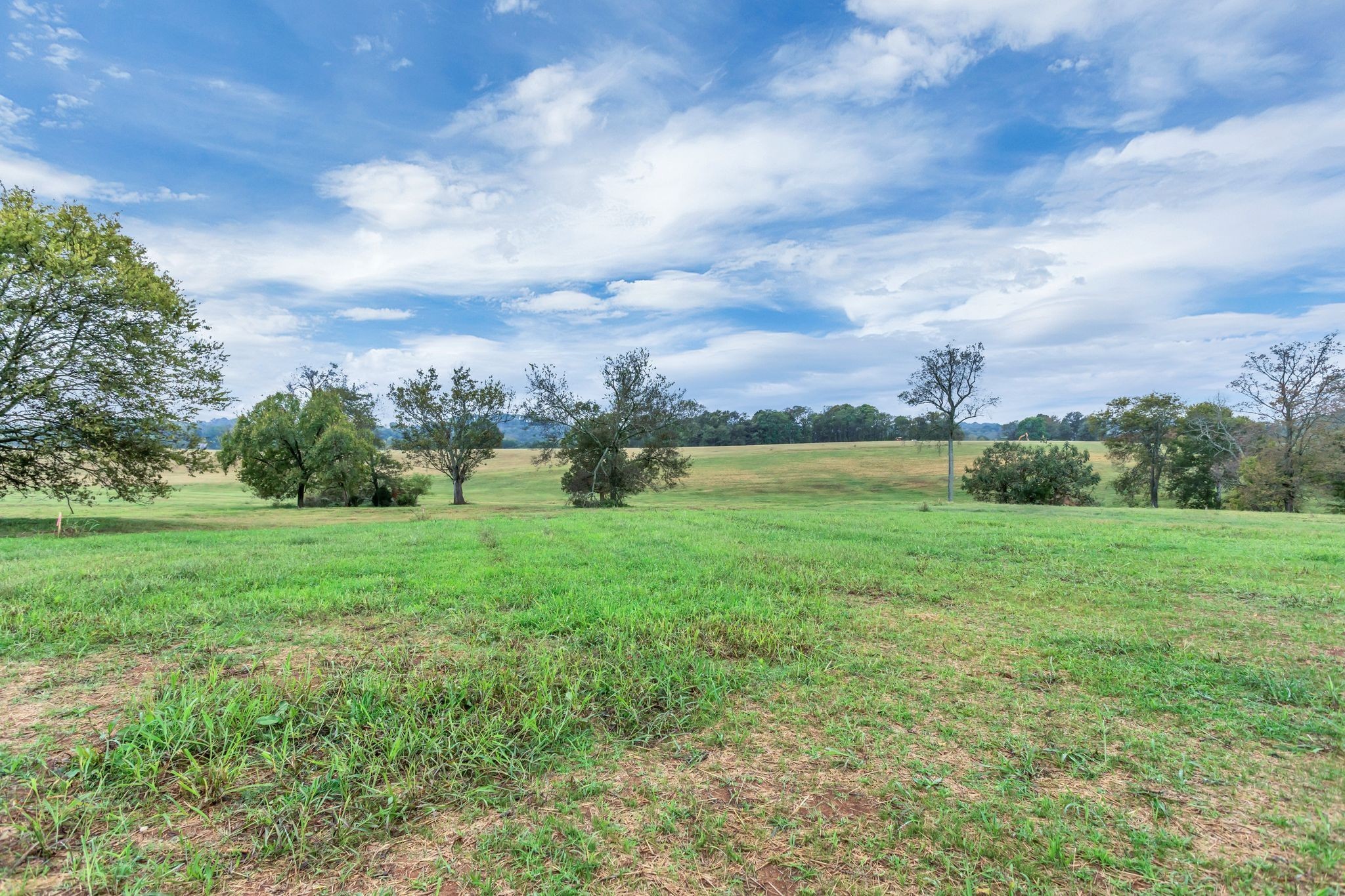1629 John Sharp Rd Property Photo 4