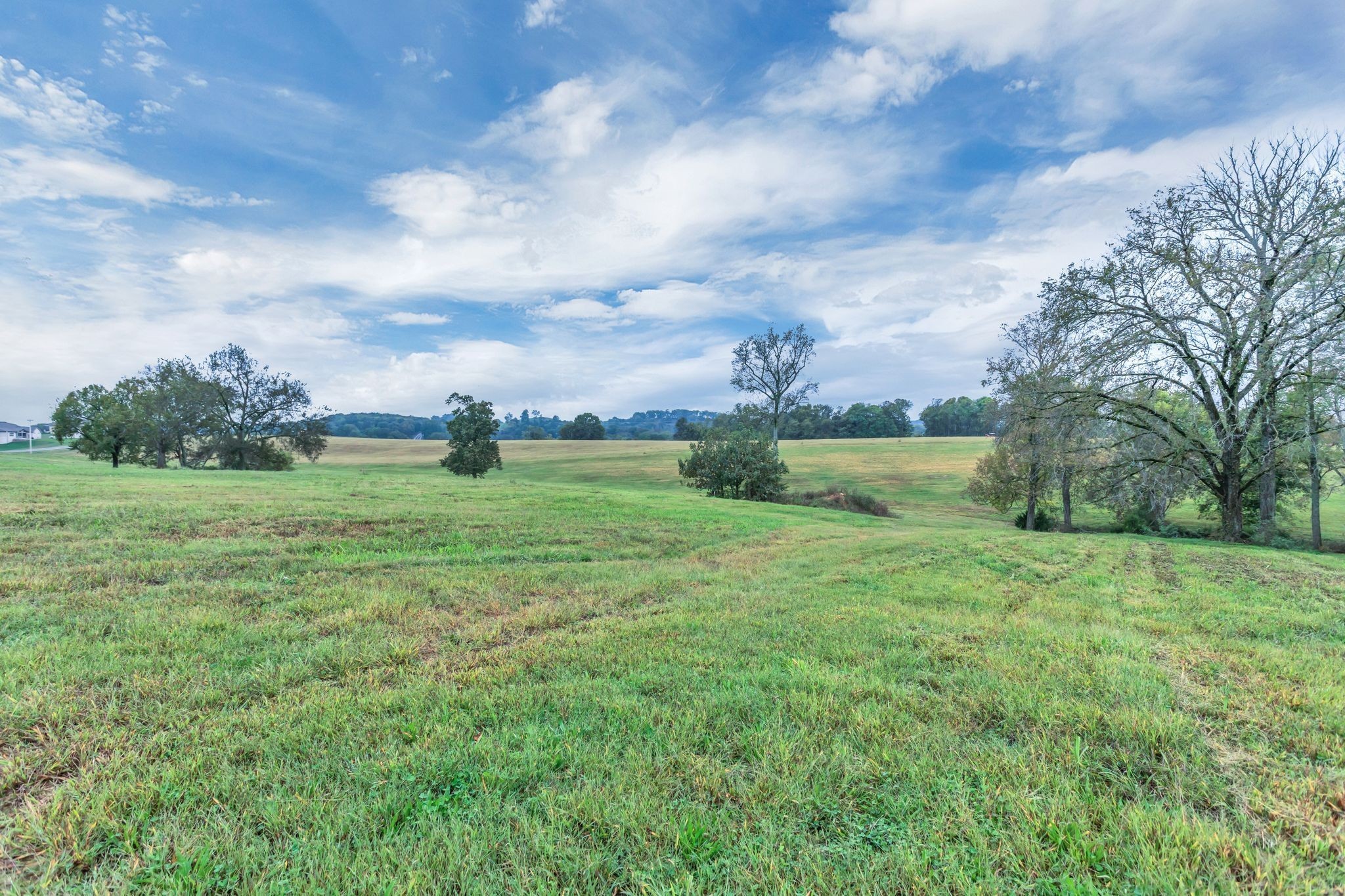 1629 John Sharp Rd Property Photo 5