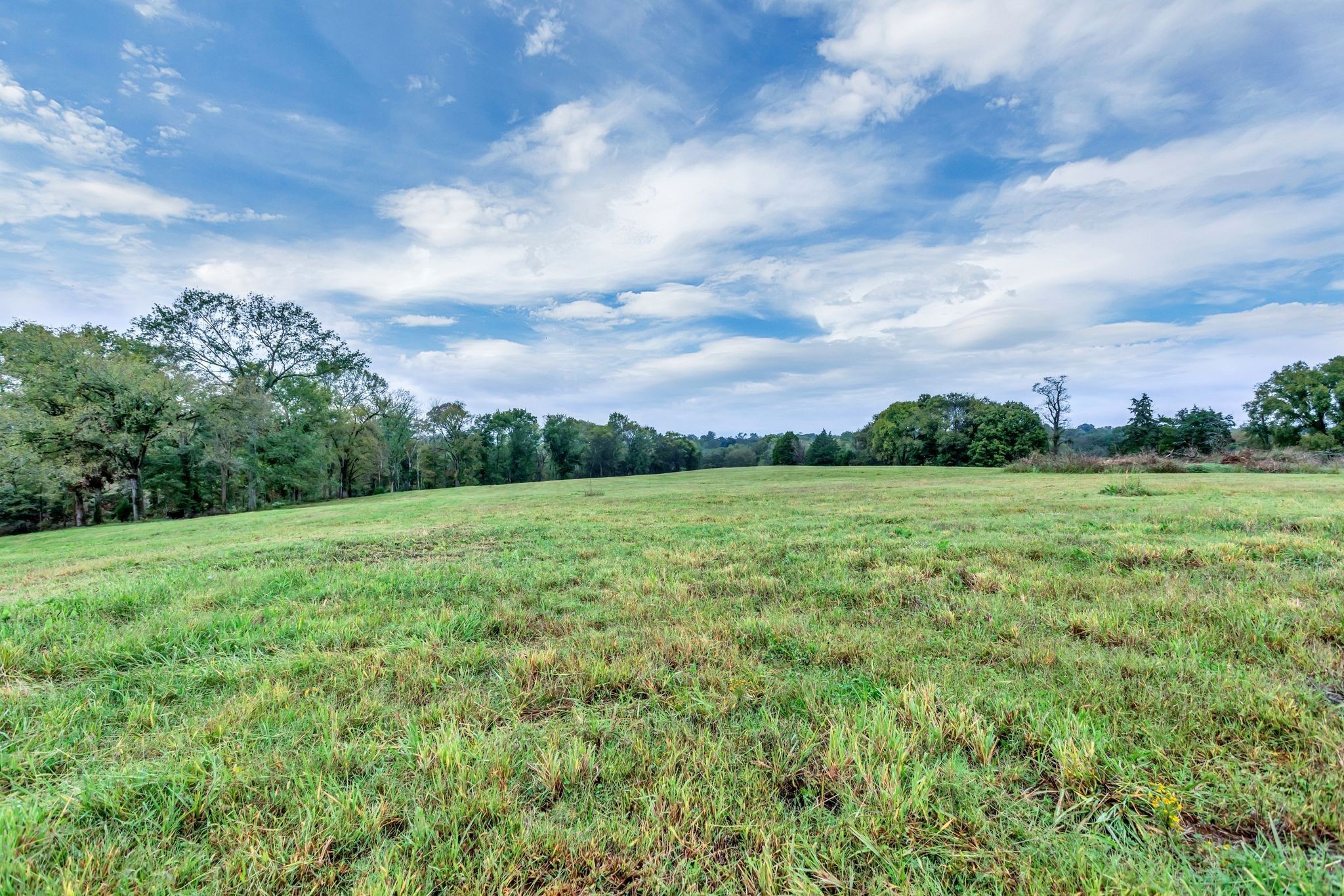 1629 John Sharp Rd Property Photo 6