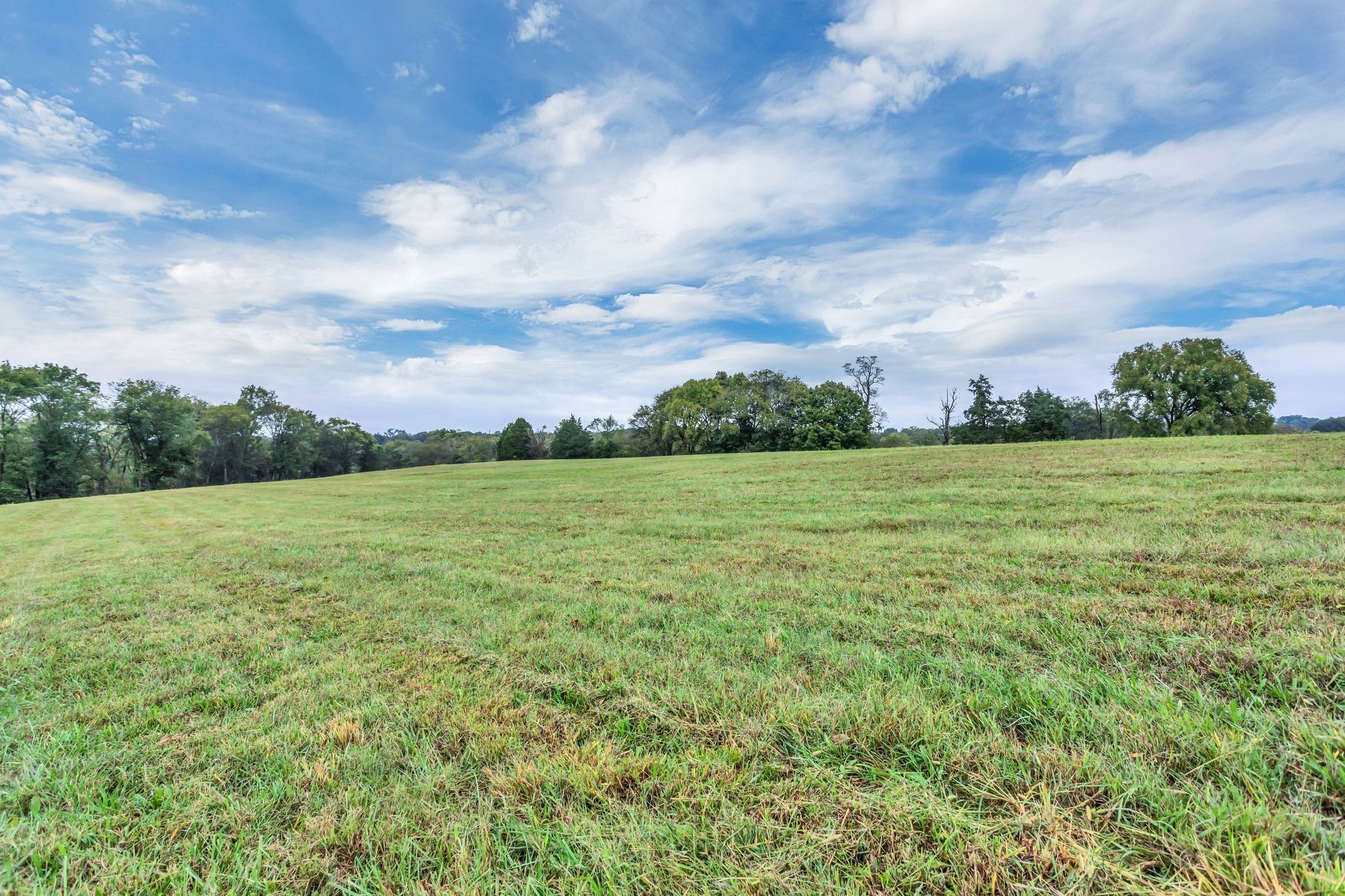 1629 John Sharp Rd Property Photo 8