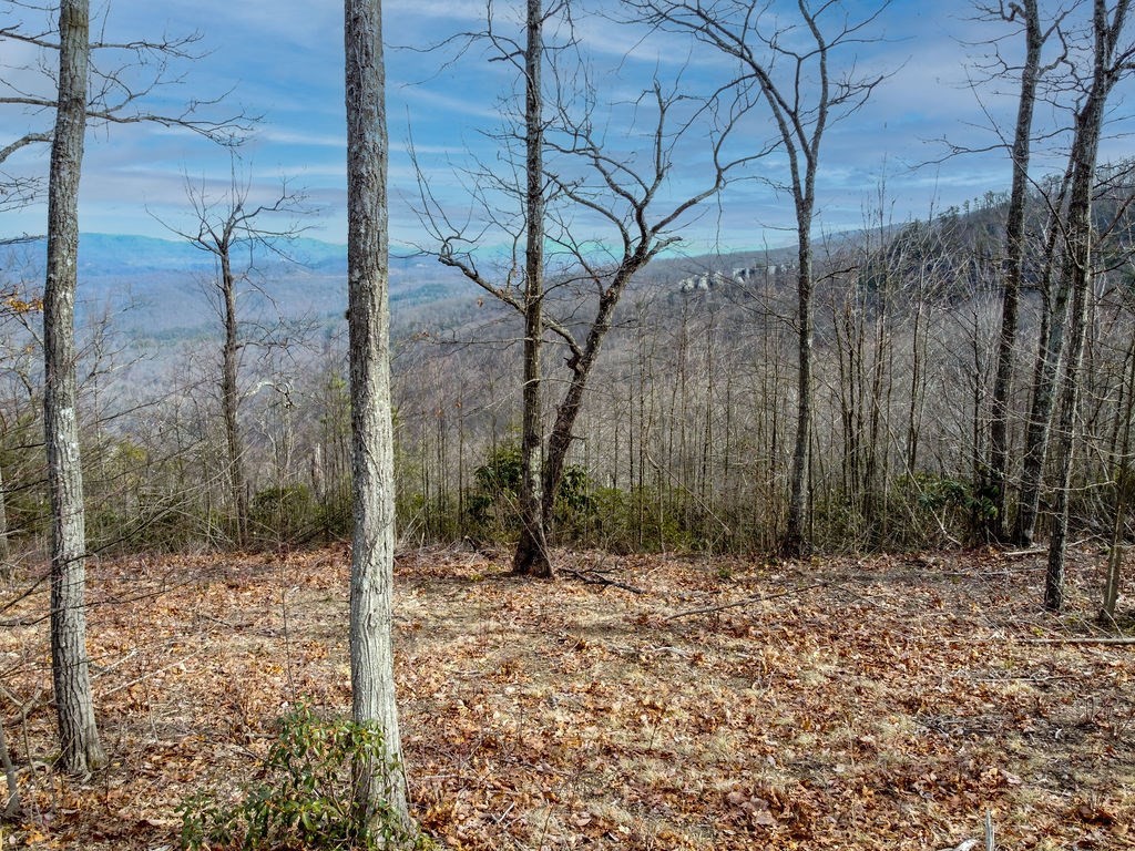 0 Chimney Rock Lane Property Photo 7