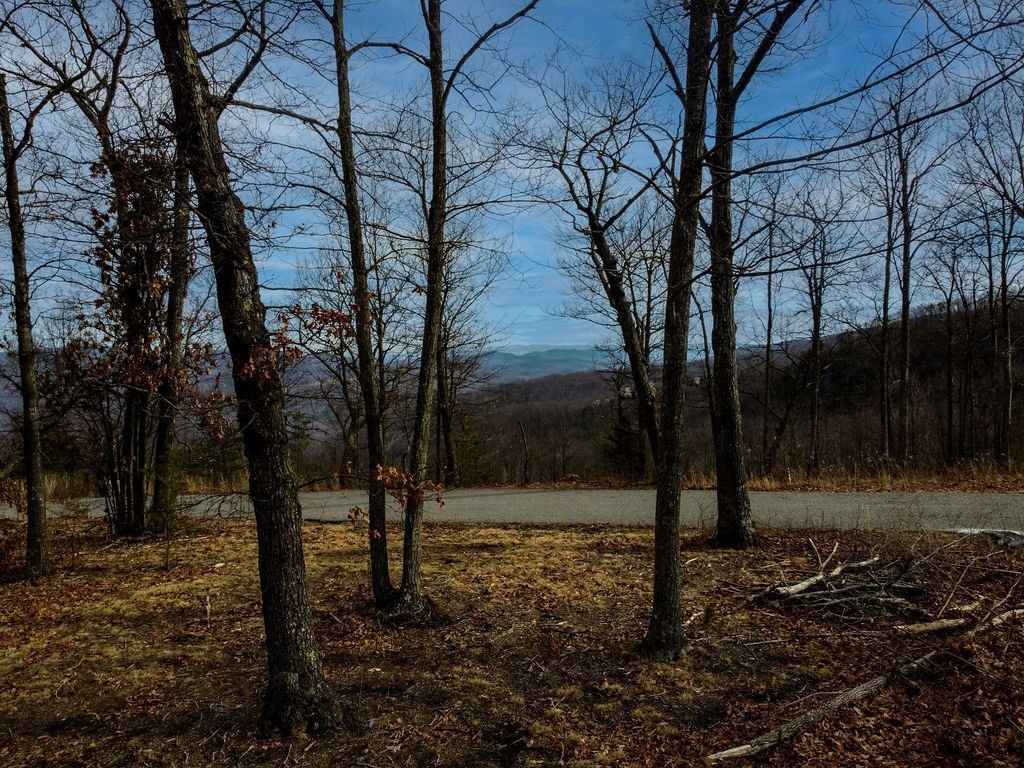 0 Chimney Rock Lane Property Photo 8