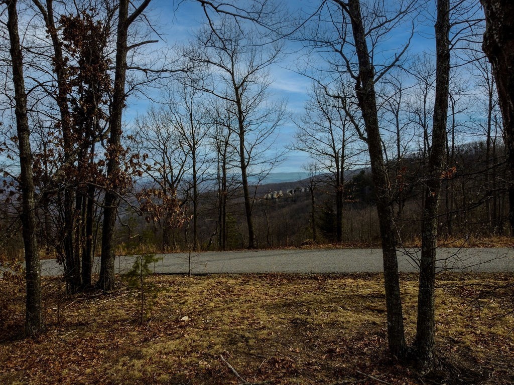 0 Chimney Rock Lane Property Photo 9