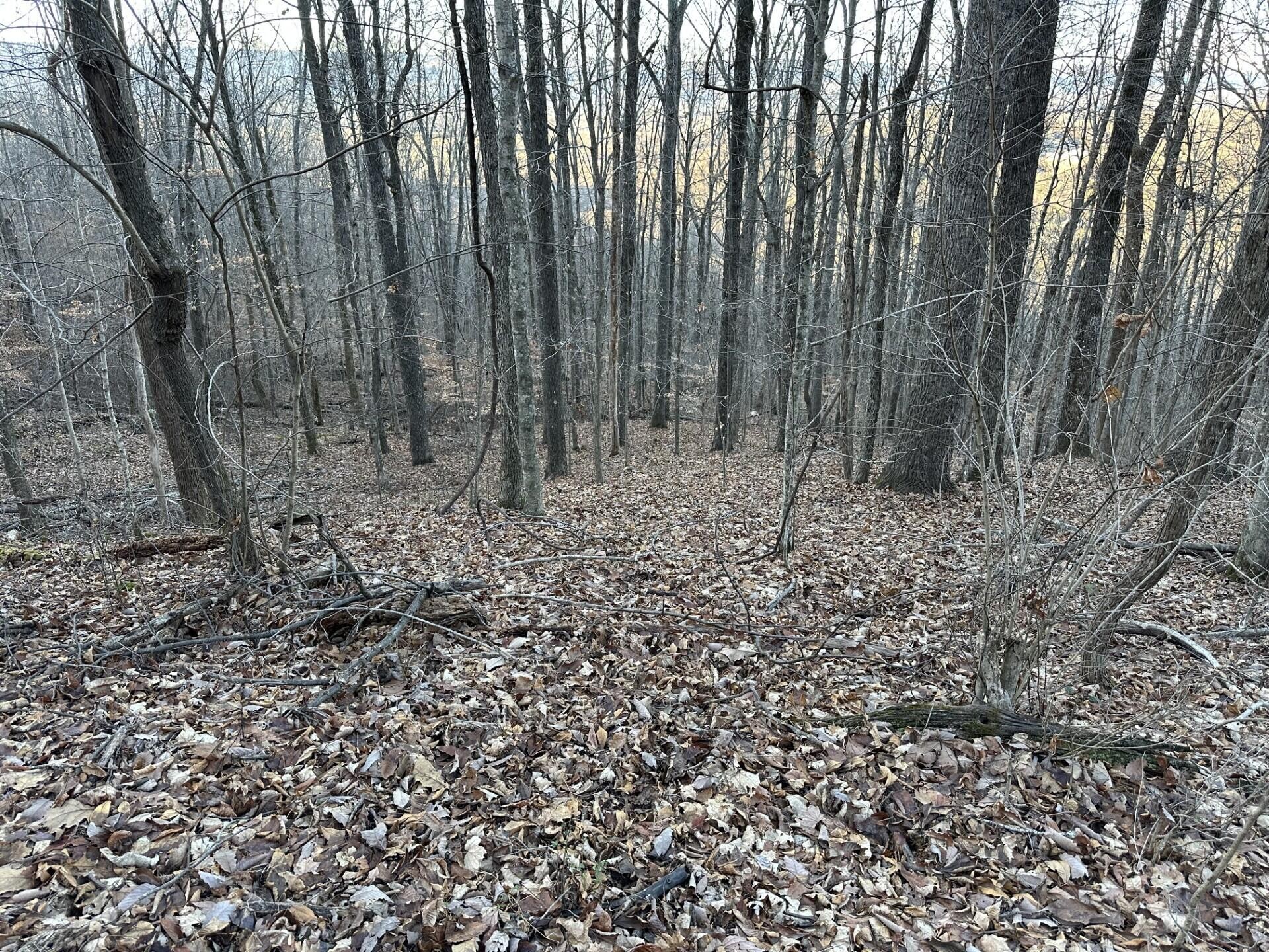 76 Fox Ridge Property Photo 1