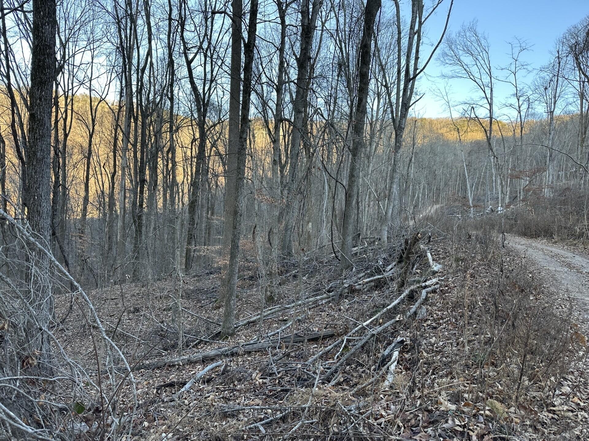 3233 Stone Ridge Road Road Property Photo 1
