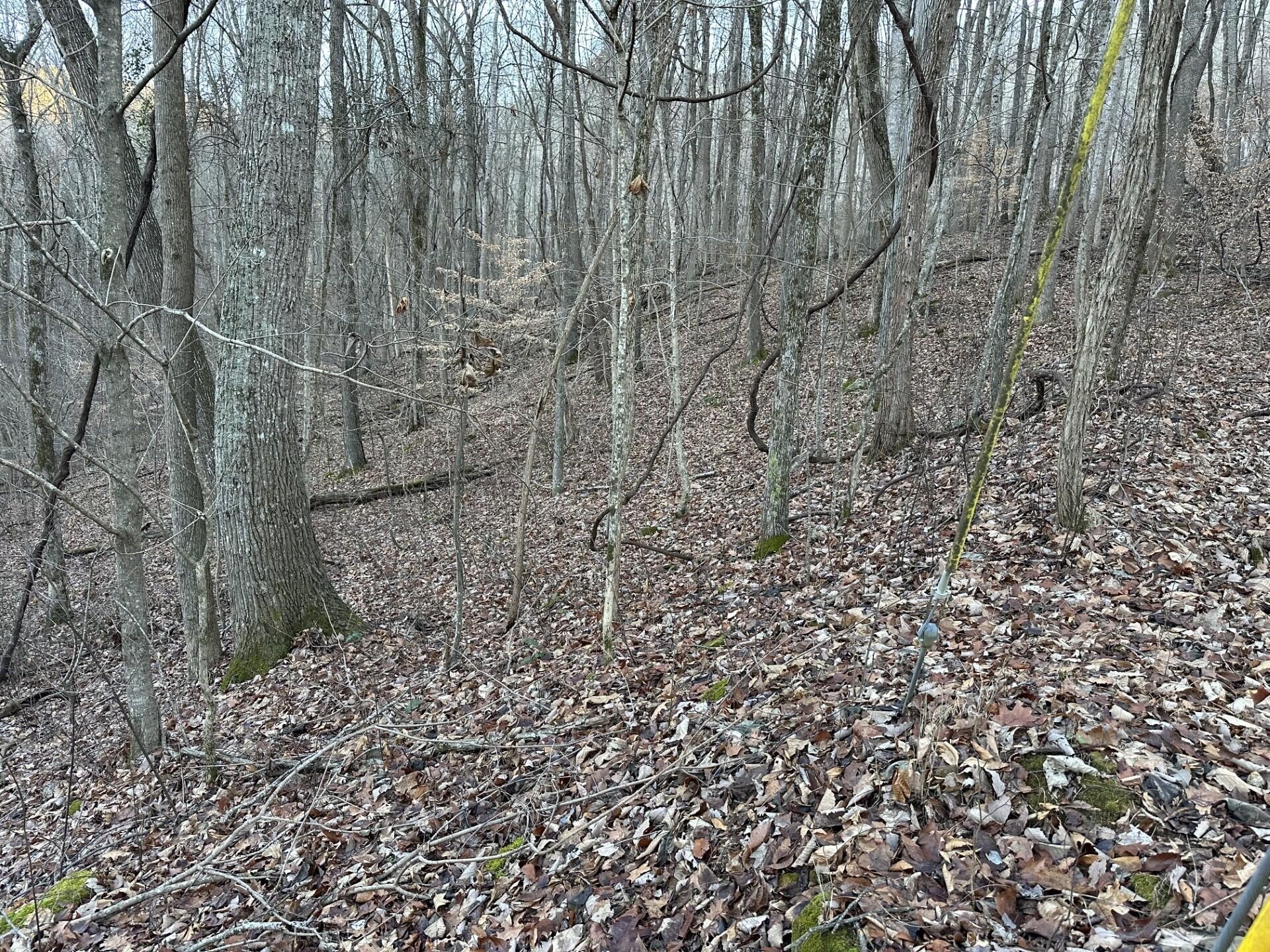 83 Stone Ridge Road Property Photo 1